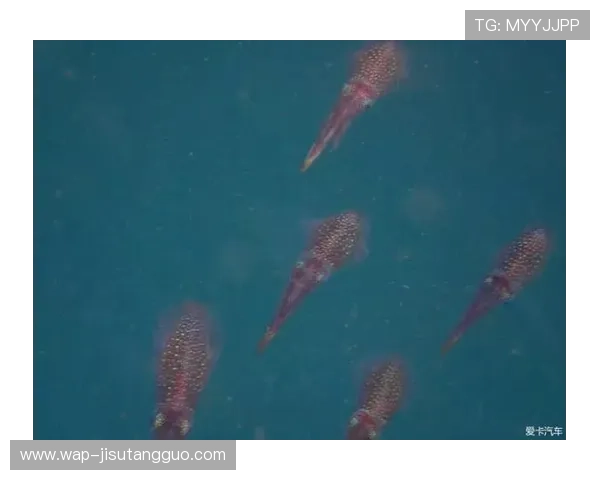 访问PG娱乐线上官网开启你的专属娱乐之旅体验丰富多彩的线上游戏内容